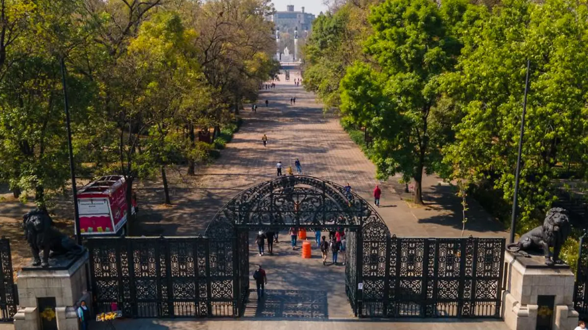 Bosque de Chapultepec